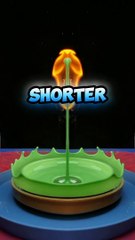 Random Facts You Didn't Know (11)