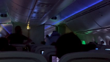 Drunk passengers arrested at Gatwick for causing 'tequila terror' on flight