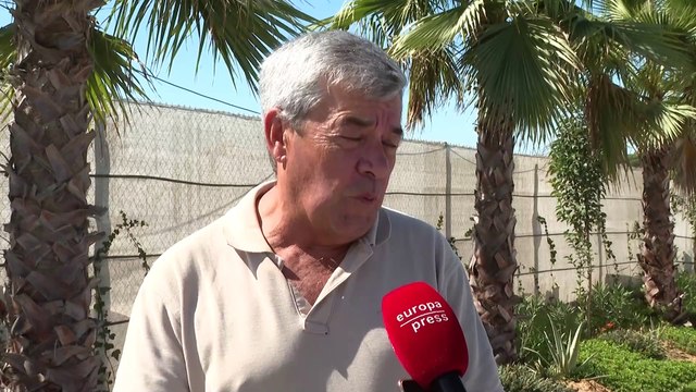 Aumenta la preocupación por 'lengua azul' en España tras los nuevos focos en Huelva y Badajoz