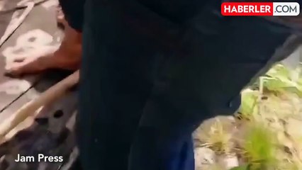 Brezilya'da Adam Canını Kurtarmak İçin Dev Anakondayı Isırdı