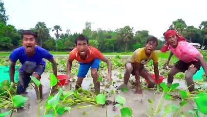 New Entertainment Top Funny Video Best Comedy in 2022 Episode 39 by Funny Family
