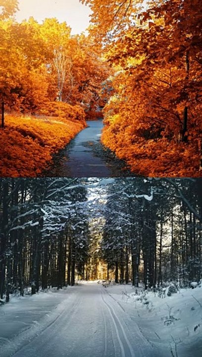 Minutes Mastery a bite-sized learning series | Vol 1 Ep 48 Cuffing Season | Rajavee Arora, Triumph through Training Pvt. Ltd. (3T)