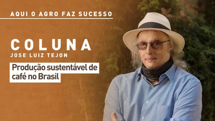 Aqui o Agro Faz Sucesso: produção sustentável de café no Brasil