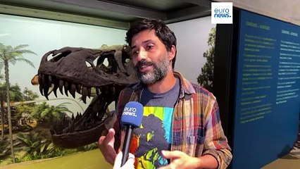 Descoberta nova espécie de dinossauro de 10 toneladas que viveu na Península Ibérica