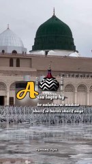 phool kya dekhun meri aankhon mein #naat #naatepak #mohammad #viral #short