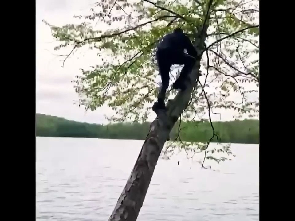 Funny video #funny #viral #trending #comedy #short #viralshorts #entertainment #fun