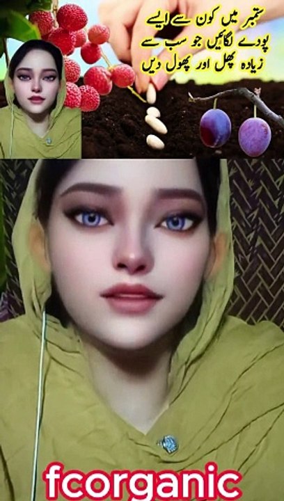 fcorganic Which Plants to Grow in September? Best Plants for Maximum Fruit and Flowers!