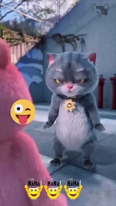 Beautifull cat funny video