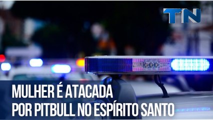 Mulher é atacada por pitbull no Espírito Santo