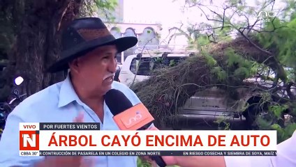 SCZ: Árbol cae sobre vehículo