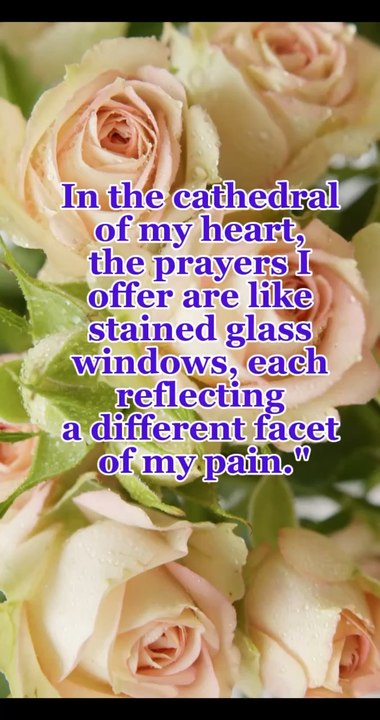 Alif-quotes Morning refreshing happy quotes # life#education#morningquotes#quotes#everydayquotes