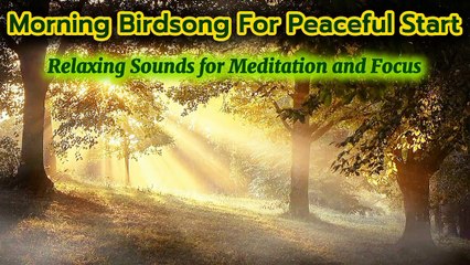 Morning Birdsong For Peaceful Start | Relaxing Sounds for Meditation Focus