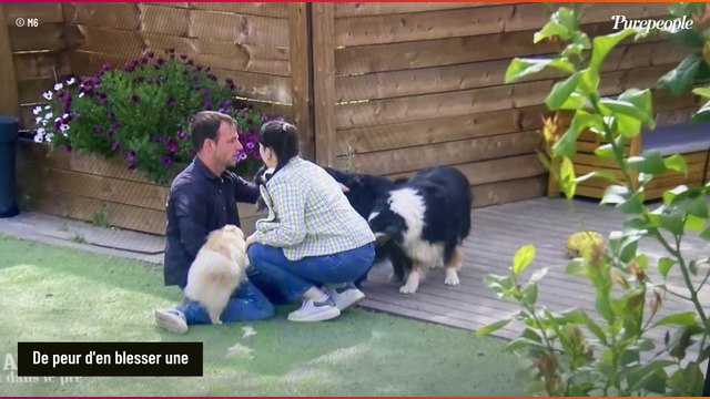 Ludovic (L'amour est dans le pré 2024) filmé en pleine crise de panique : voici pourquoi il a complètement craqué (SPOILER)