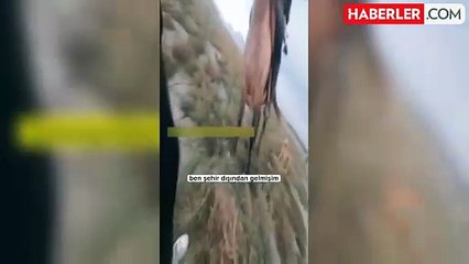 Fotoğraf çekmek isterken kırbaçlı haramilerin saldırısına uğradılar