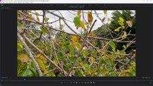How to fix some rejection reasons for being approved on Shutterstock