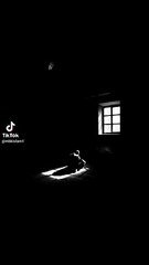 Tumhy Kya Ho Gaya Hai? 🤔