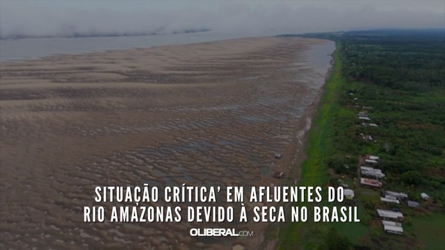 Situação crítica’ em afluentes do rio Amazonas devido à seca no Brasil