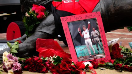 Exploring Peter Golenbock's Favorite Book Subject & Regrets