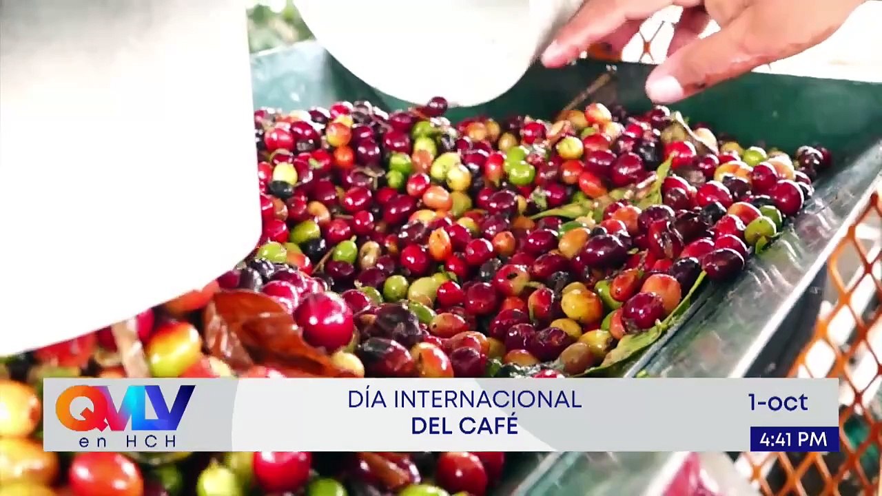 En Vivo (5412)