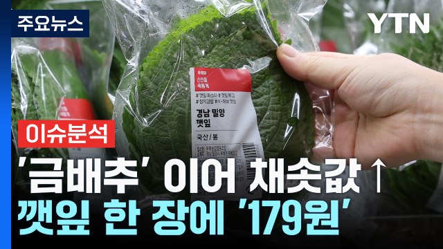[스타트경제] 깻잎 한 장에 179원...금배추 이어 치솟는 채솟값 / YTN