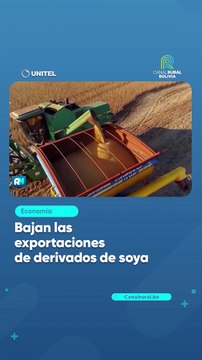 Bajan las exportaciones de derivados de soya