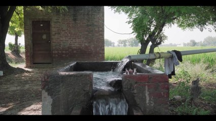 Jaggi (2022) Official Trailer | A Heartfelt Story of Love and Misunderstanding in Rural Punjab 🎬 - thumbnail