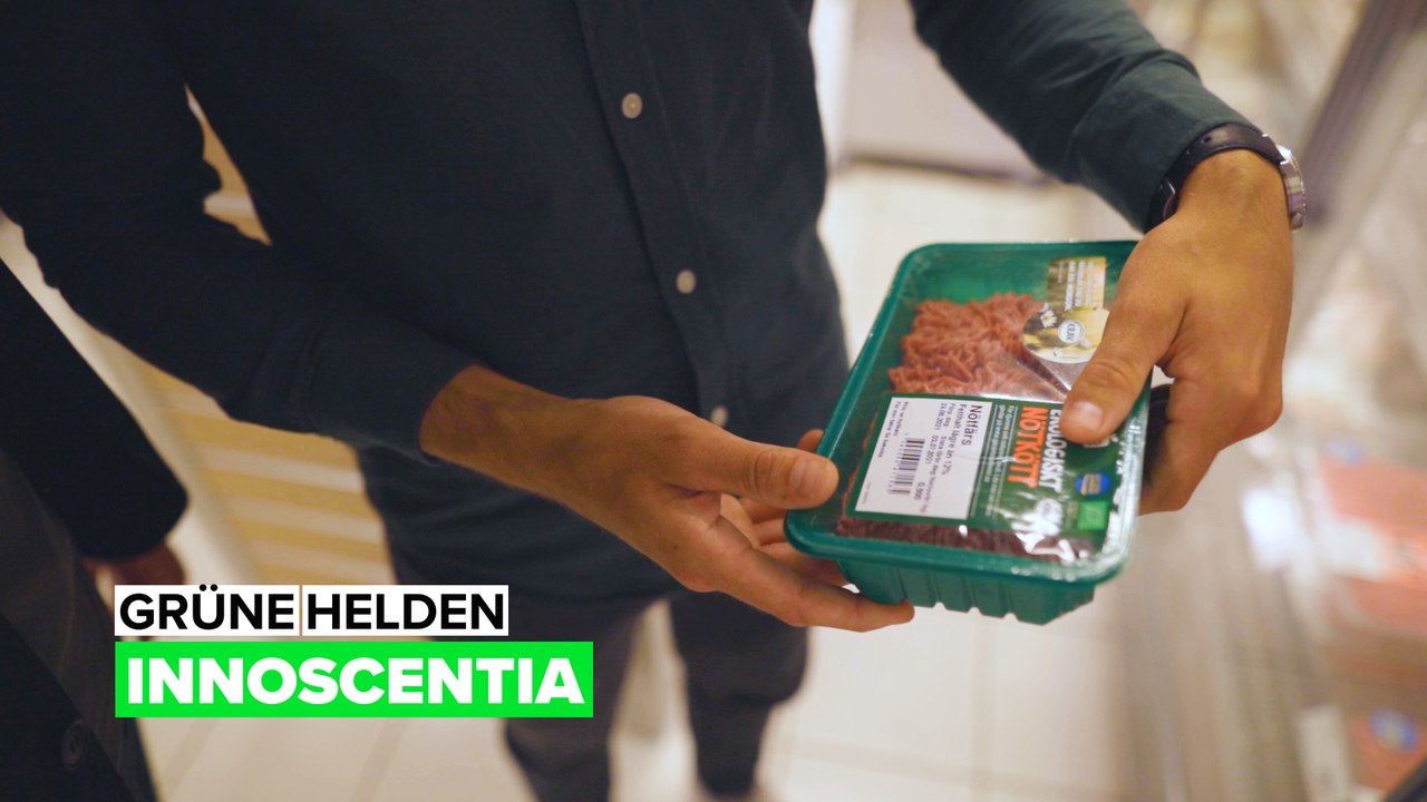 Grüne Helden - Innoscentia