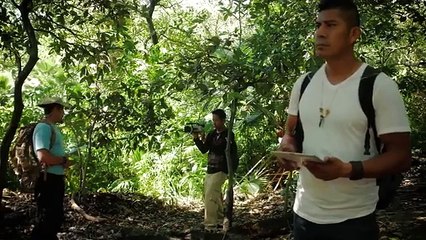 LA MALDICION DE TONAL película completa en español latino HD