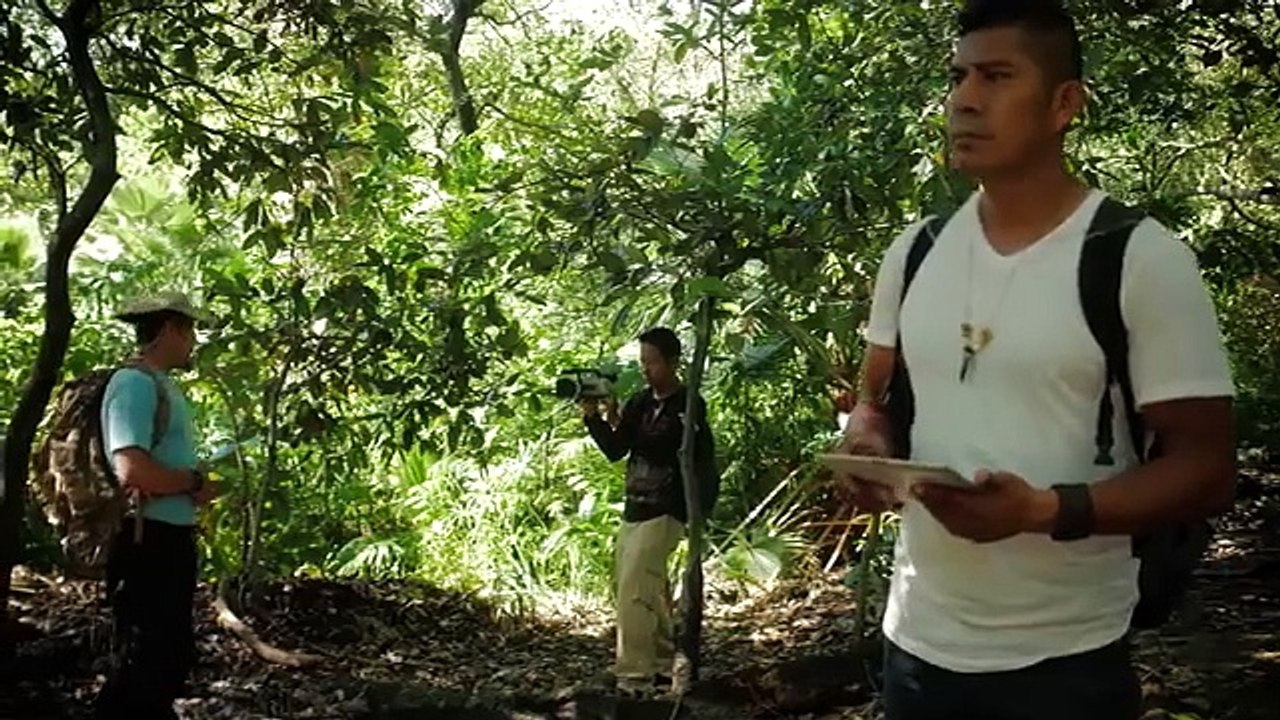 LA MALDICION DE TONAL película completa en español latino HD