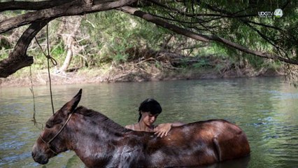 Con la proyección del largometraje 'Sujo', arrancará el GuadaLAjara Film Festival 2024