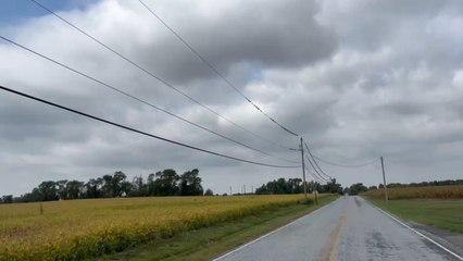 Birds on a wire on a new road