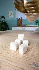 Cockroaches Are Always Worried About Their Family