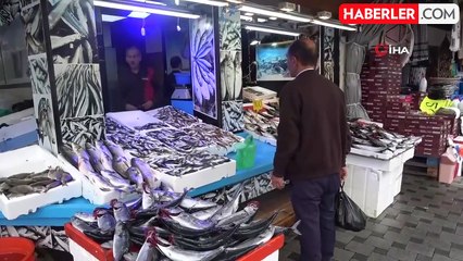 Havalar Serinledi, Palamuda İlgi Arttı