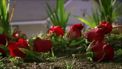 Jenna between the headlights