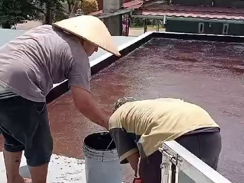 Jasa Aplikator Waterproofing Dak Beton Terbaik Saat Ini Sam Waterproofing