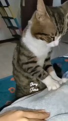 Why she look weird in control 