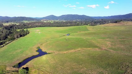 Conondale View, Conondale, Qld | October 2, 2024 | Farmonline