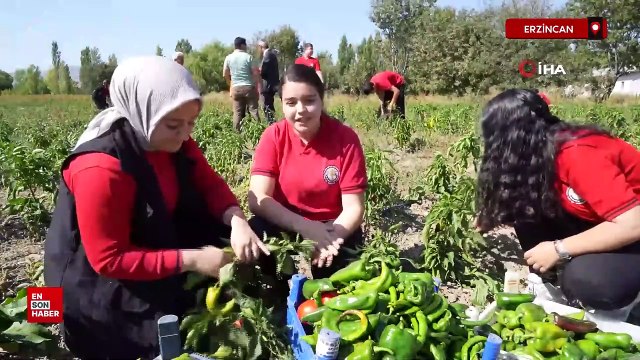 Erzincan’da meslek lisesi öğrencileri hem öğreniyor hem de kazanıyorlar