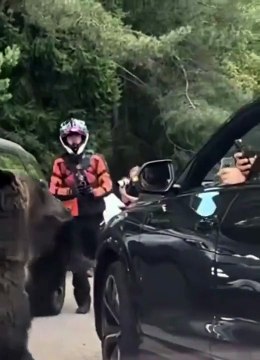 Ne nourrissez jamais les animaux sauvages ! Respectez leur nature sauvage et laissez-les vivre librement dans leur habitat naturel. Ensemble, préservons la beauté de la faune !