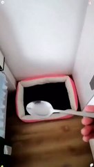 Camouflage de chat  Découvrez la solution idéale pour garder votre compagnon félin en toute sécurité et discrétion !