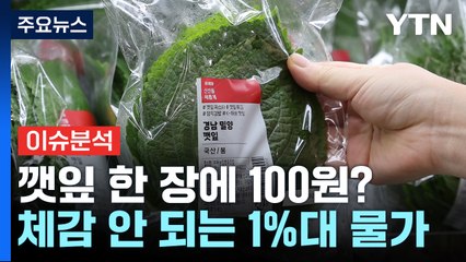 [경제PICK] 깻잎 한 장에 100원?...체감 안 되는 1%대 물가 / YTN