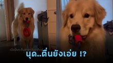 นาฬิกาปลุกรุ่นนี้ไม่ตื่นหน้าเปียก มาตรงเวลาเป๊ะ ๆ ไม่มีวันหยุด