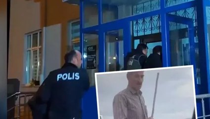 Atların fotoğrafını çekmek istediler, zorbalıkla karşılaştılar