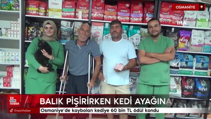 Osmaniye'de kaybolan kediye 60 bin TL ödül kondu: Balık pişirirken ayağına geldi