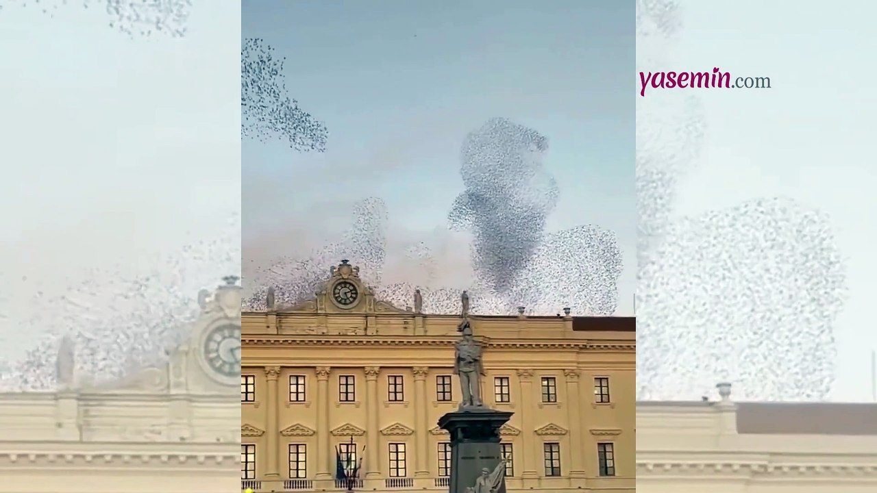 Gökyüzünde büyüleyen görüntüler! Kuş sürüleri adeta dans etti