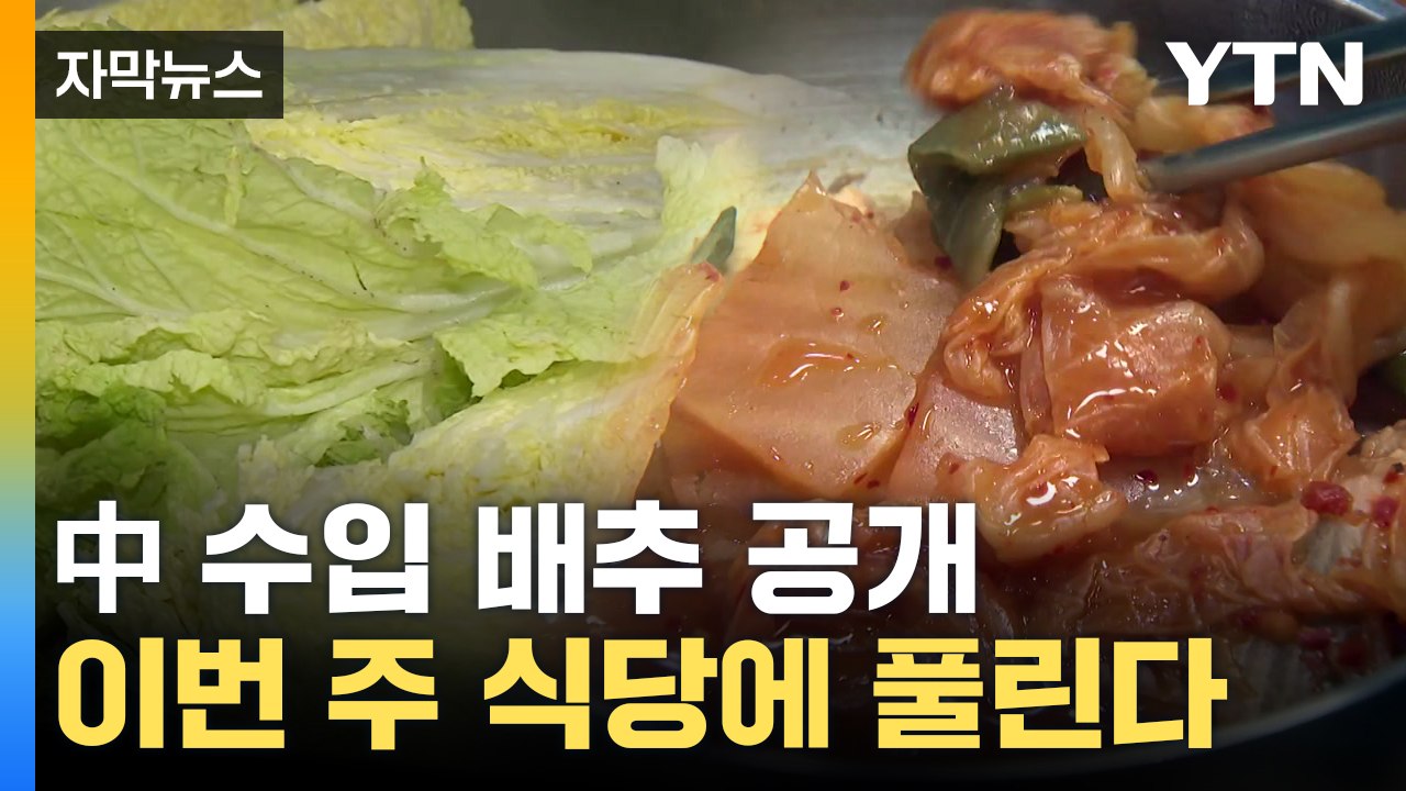 [자막뉴스] '배추 대란' 끝나나...품질 검사 후 중국산 배추 공급 시작 / YTN