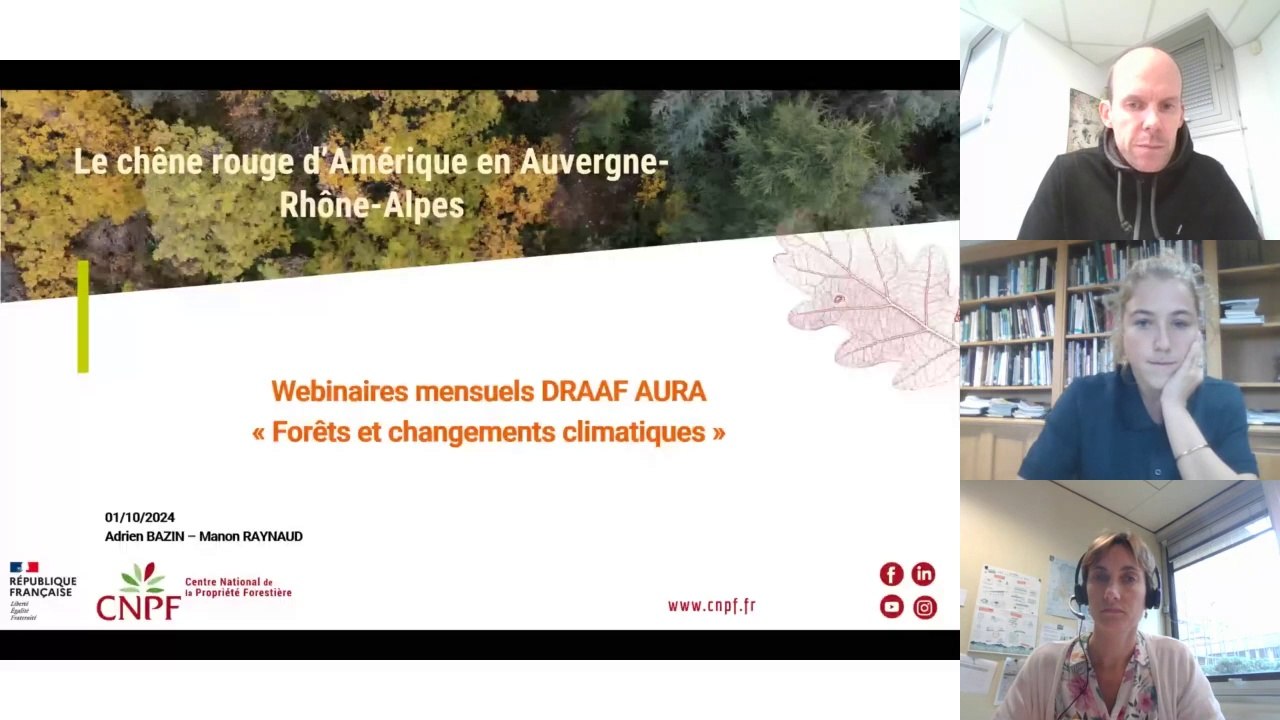 Webinaire #33 forêt et changements climatiques