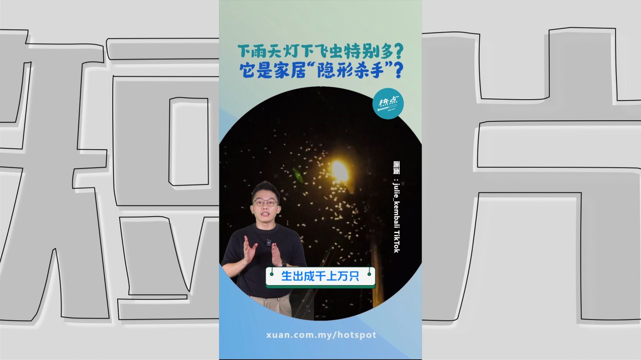 白蚁不是蚂蚁 它是蟑螂的“亲戚”？#生物篇 | 懂来做莫？ Ep147