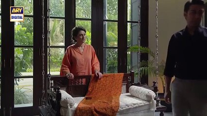 Noor Jahan Episode 17 - 20 July 2024 (English Subtitles) - ARY Digital Drama