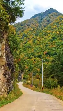 Main Dil banke tujh mein dhadkane lagi Hoon